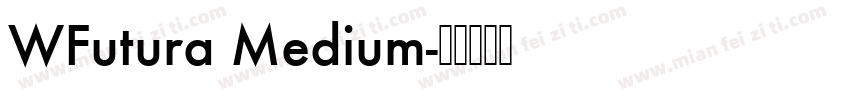 WFutura Medium字体转换